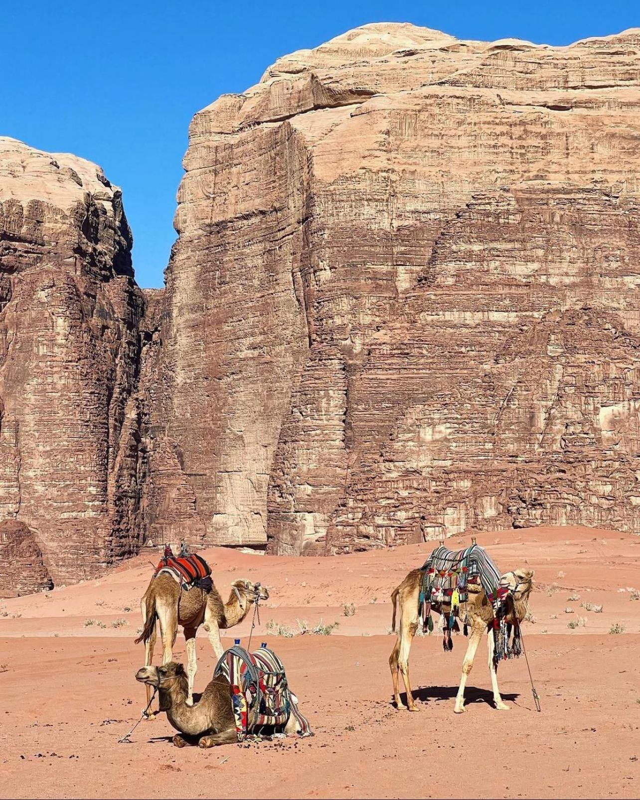 Rum Maria Luxury Camp & Bubble Rooms Wadi Rum Eksteriør bilde